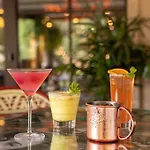 Hotel Zaza Dallas 